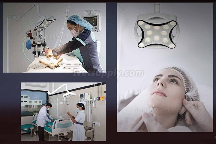 Micare JD1700 LED Veterinary Shadowless LightOperation Lamp Ceiling Mounted