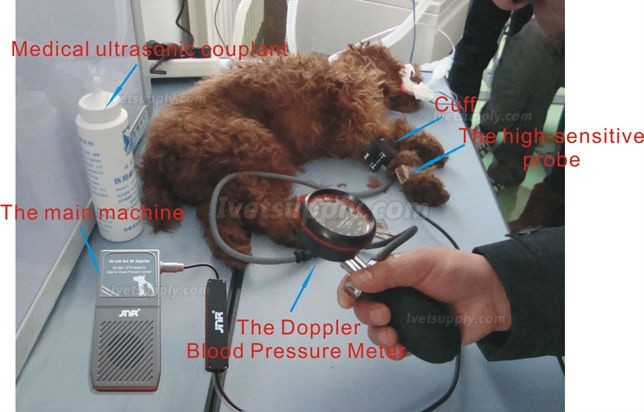 JNR DS-100 Animal Doppler Blood Pressure Meter Veterinary Blood Pressure Meter Five Cuffs JNR DS-100 Animal Doppler Blood Pressure Meter Veterinary Blood Pressure Meter Five Cuffs