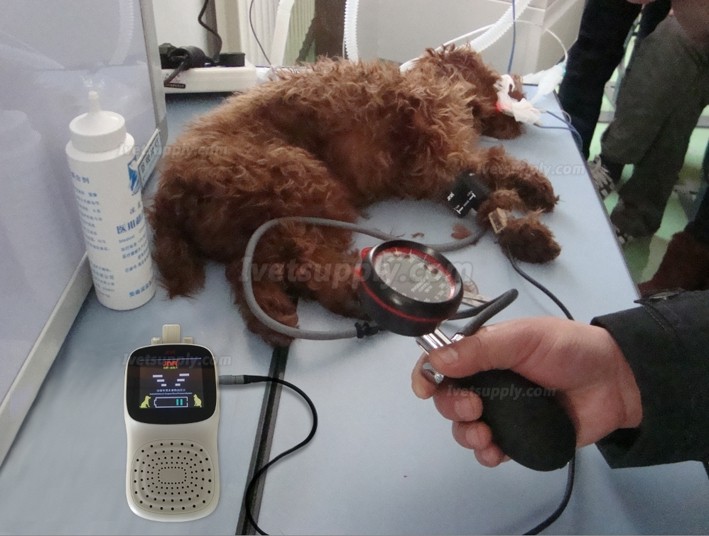 JNR DS-200 Veterinary Doppler Blood Pressure Meter Kit Animal Doppler Sphygmomanometer
