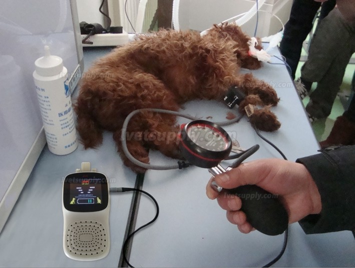 JNR DS-200 Veterinary Doppler Blood Pressure Meter Kit Animal Doppler Sphygmomanometer JNR DS-200 Veterinary Doppler Blood Pressure Meter Kit Animal Doppler Sphygmomanometer