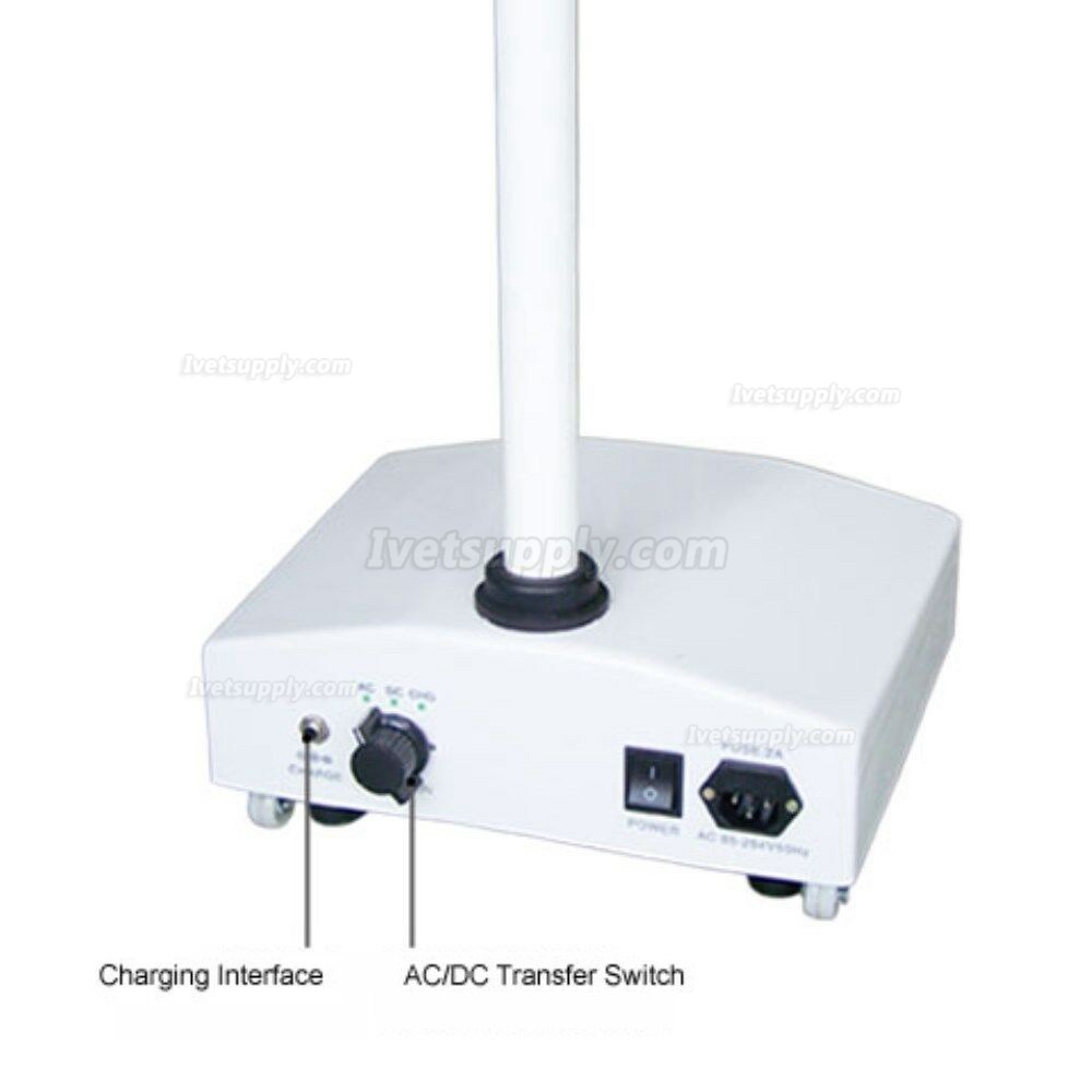 KWS® KD-2012D-3 Veterinary Surgical LED Shadowless Lamp (With Base, Stand Type)