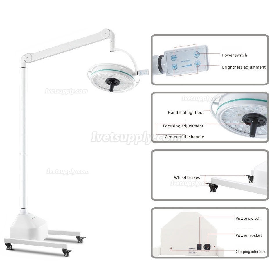 KWS KD-2036D-3 108W LED Veterinary Surgical Shadowless Light KWS KD-2036D-3 108W LED Veterinary Surgical Shadowless Light