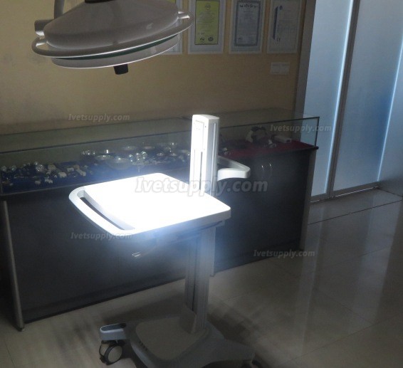 KWS KD-2036D-3 108W LED Veterinary Surgical Shadowless Light KWS KD-2036D-3 108W LED Veterinary Surgical Shadowless Light