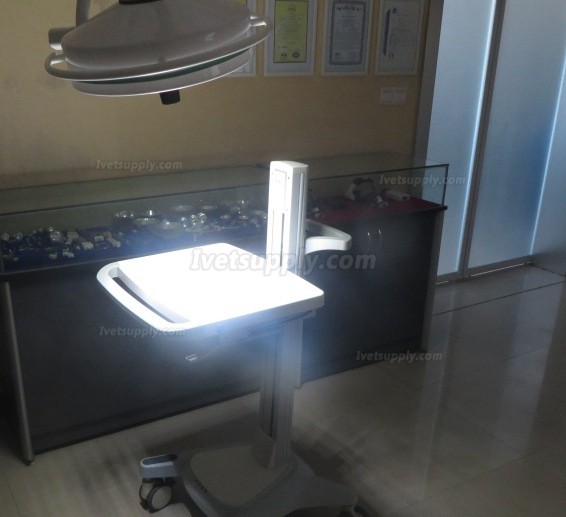 KWS KD-2036D-3 108W LED Veterinary Surgical Shadowless Light