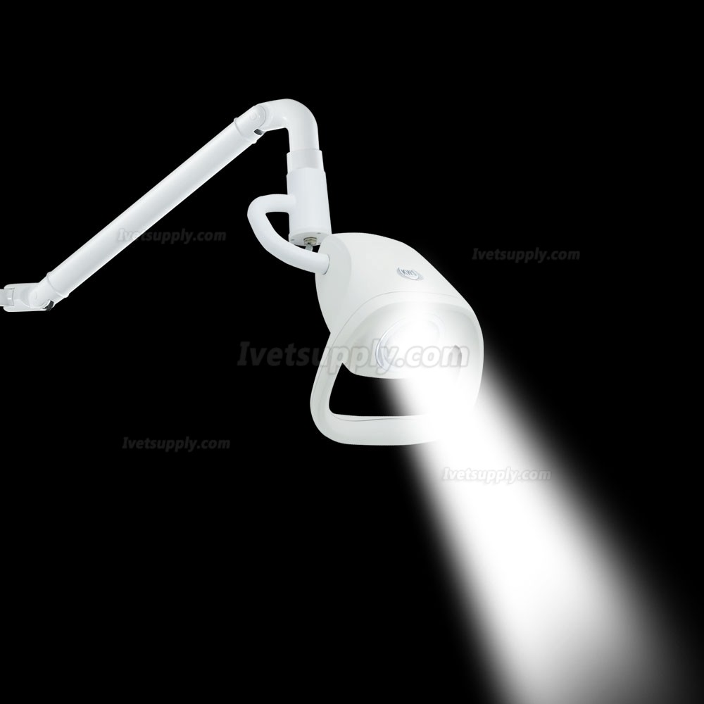 KWS KD-2021W-2 7 holes 21W veterinary LED ceiling type inspection light KWS KD-2021W-2 7 holes 21W veterinary LED ceiling type inspection light