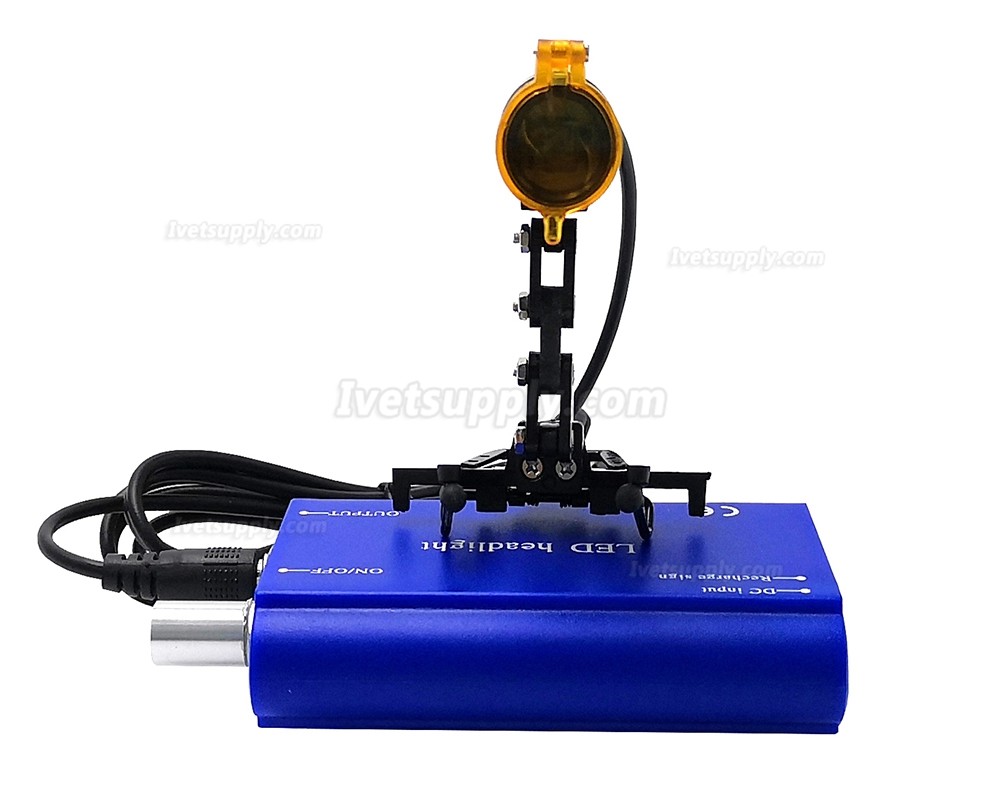 Veterinary 5W LED Head Light Clip-on Type Headlight Veterinary 5W LED Head Light Clip-on Type Headlight