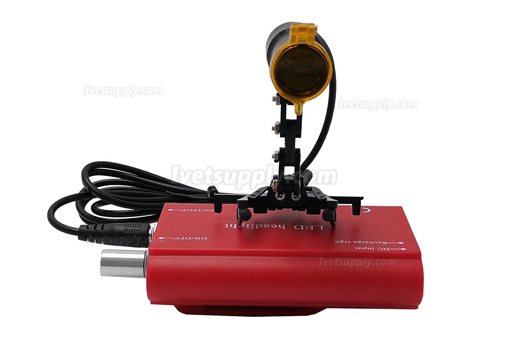 Veterinary 5W LED Head Light Clip-on Type Headlight Veterinary 5W LED Head Light Clip-on Type Headlight