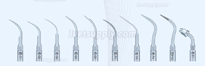 Refine MaxPiezo7/DS7 Veterinary Ultrasonic Dental Scaler Root Canal irrigation Scaler Refine MaxPiezo7/DS7 Veterinary Ultrasonic Dental Scaler Root Canal irrigation Scaler
