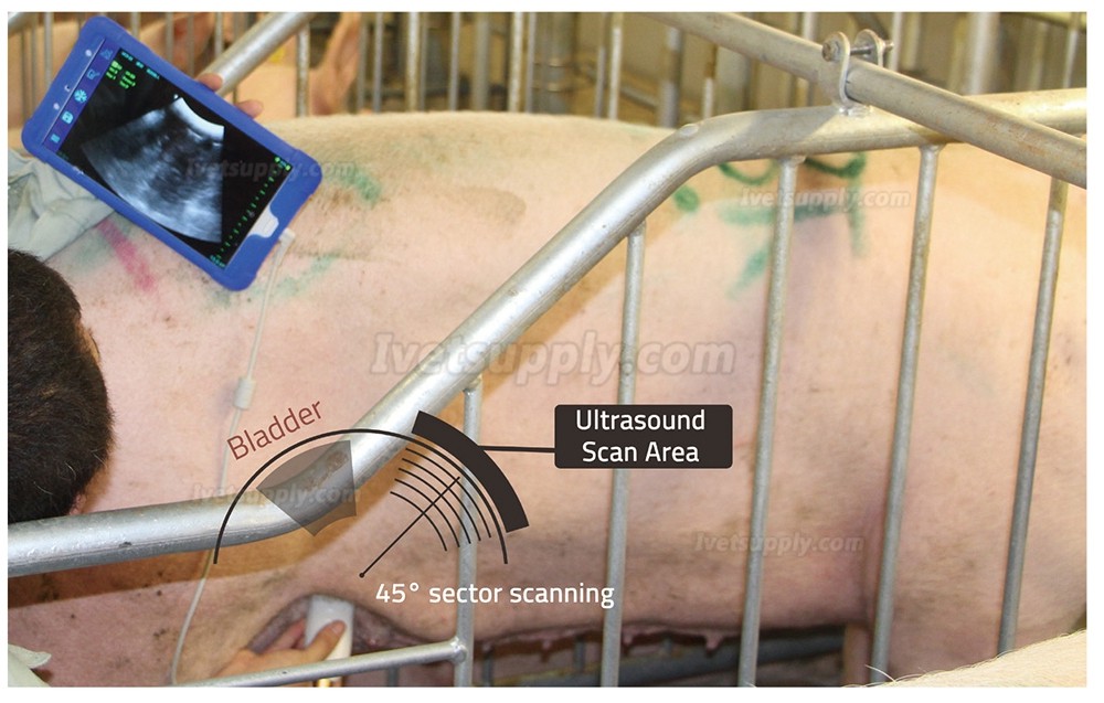 BMV MX5 B/W Portable Ultrasound Scanner For Livestock Animal Scanning