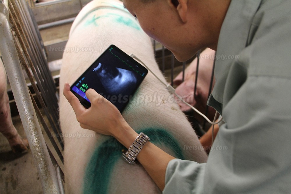 BMV MX5 B/W Portable Ultrasound Scanner For Livestock Animal Scanning