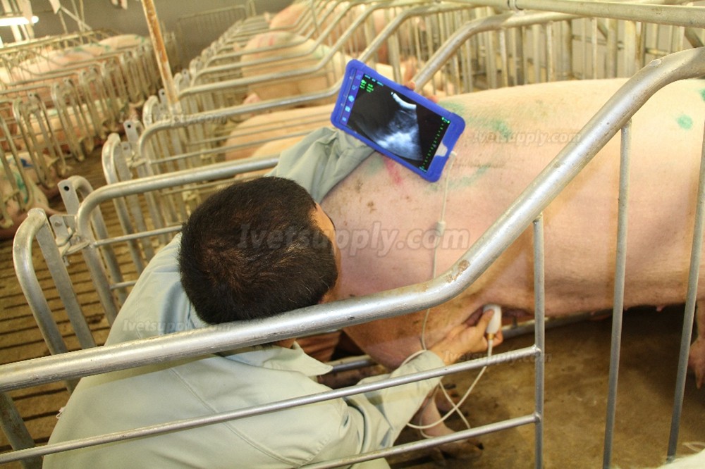 BMV MX5 B/W Portable Ultrasound Scanner For Livestock Animal Scanning