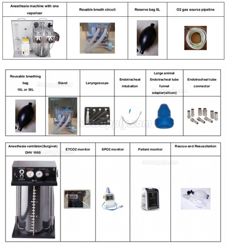 Dolphinmed Veterinary Anesthesia Machine Used for Large Animal 1000kg Horse Cow Tiger Pig Vet Anesthesia Machine