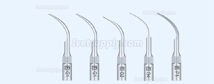 Refine MaxPiezo1 Veterinary Ultrasonic Dental Scaler Refine MaxPiezo1 Veterinary Ultrasonic Dental Scaler