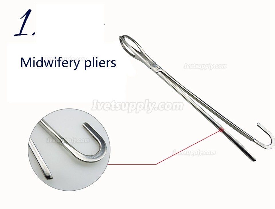 Veterinary Sow Midwifery Tool Midwifery Rope Pliers Hook Stainless Steel Obstetrical Instruments Set