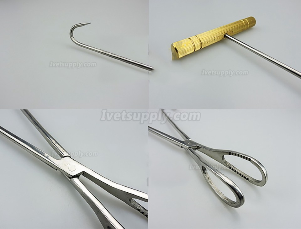 Veterinary Sow Midwifery Tool Midwifery Rope Pliers Hook Stainless Steel Obstetrical Instruments Set