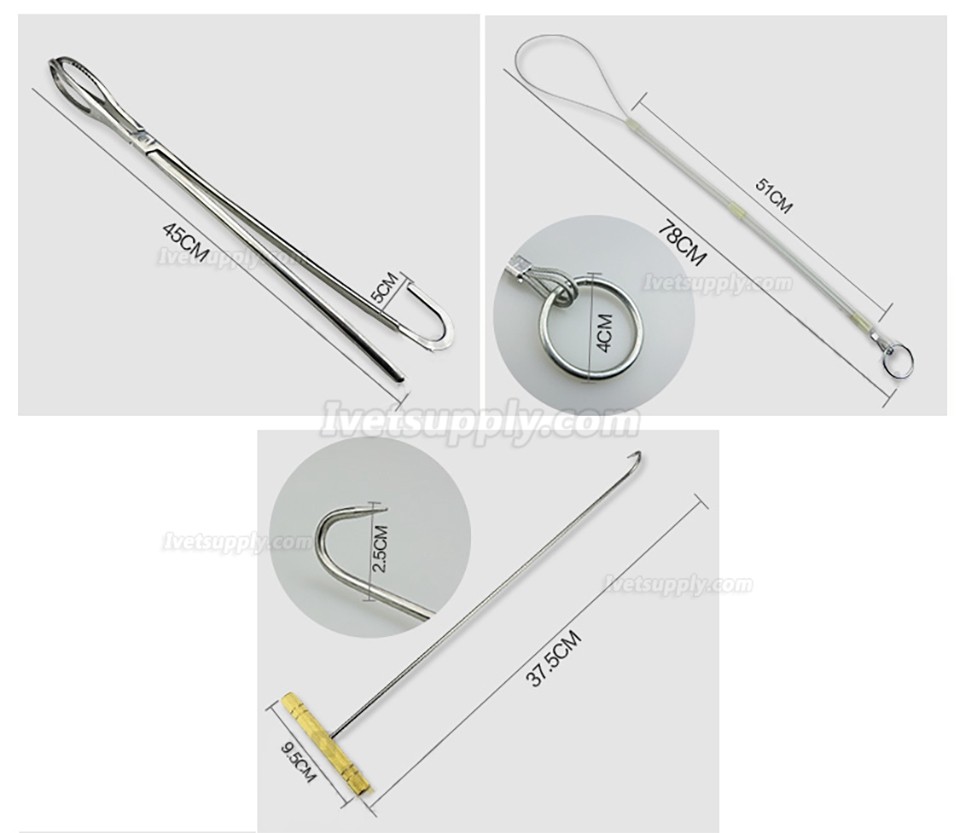 Veterinary Sow Midwifery Tool Midwifery Rope Pliers Hook Stainless Steel Obstetrical Instruments Set