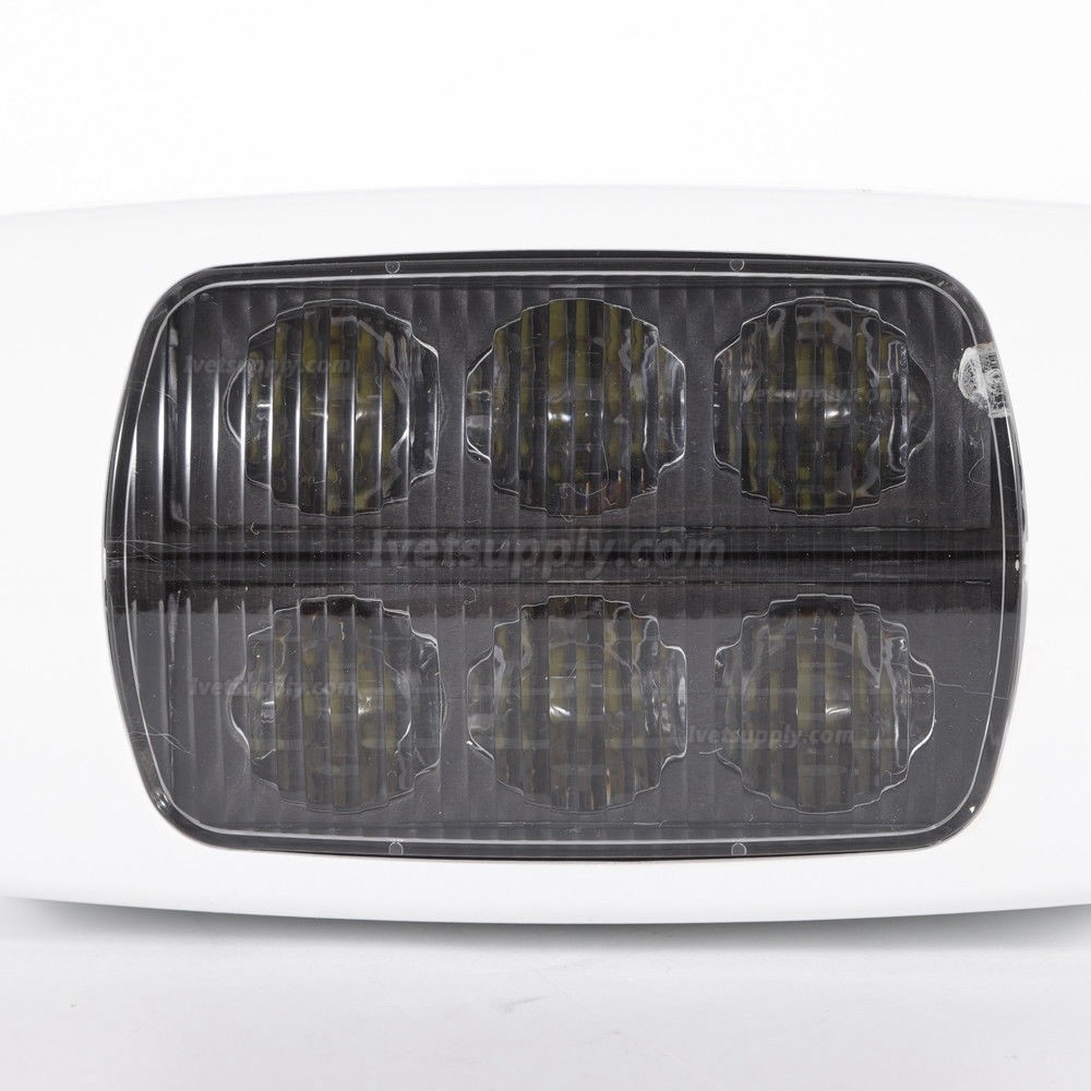 Veterinary Operating Lamp 6 LED Lens Ceiling-mounted Type With Arm Veterinary Operating Lamp 6 LED Lens Ceiling-mounted Type With Arm
