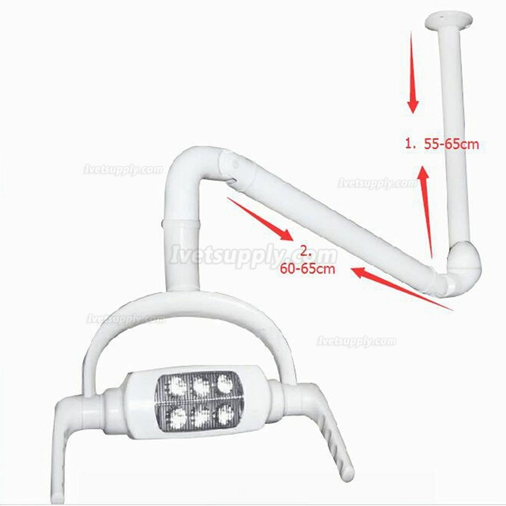 Veterinary Operating Lamp 6 LED Lens Ceiling-mounted Type With Arm