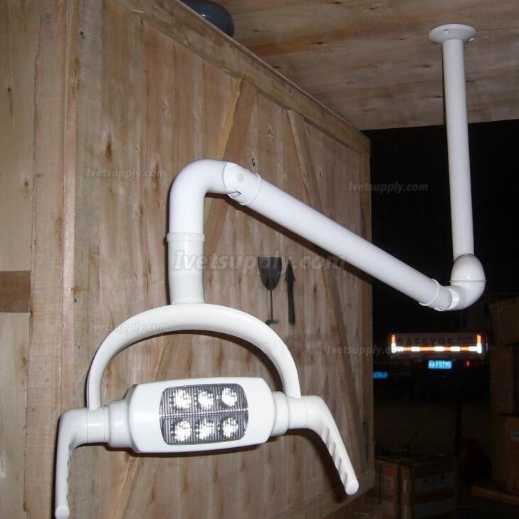 Veterinary Operating Lamp 6 LED Lens Ceiling-mounted Type With Arm Veterinary Operating Lamp 6 LED Lens Ceiling-mounted Type With Arm