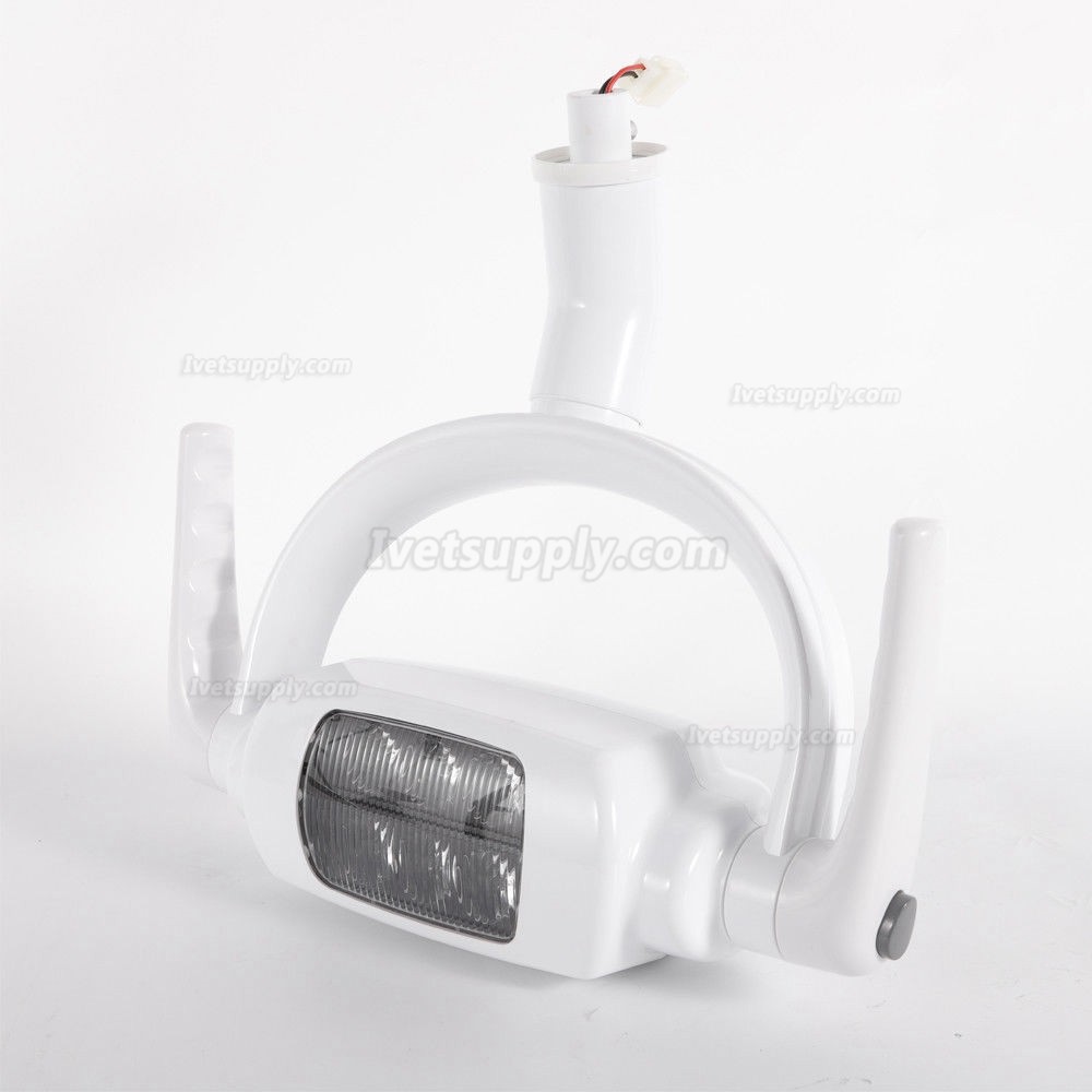 Veterinary Operating Lamp 6 LED Lens Ceiling-mounted Type With Arm Veterinary Operating Lamp 6 LED Lens Ceiling-mounted Type With Arm