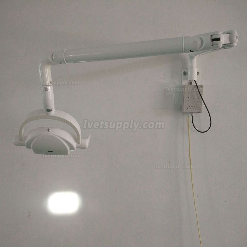 Veterinary Wall-mounted 6 LED Surgical Lamp Operating Shadowless Lamp