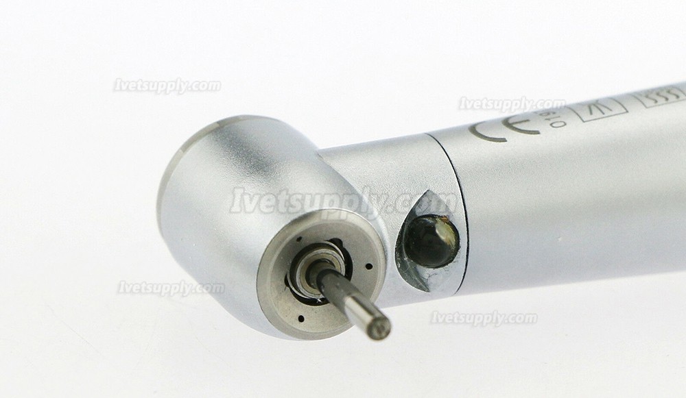 Veterinary Dental LED Turbine Handpiece Pana-Max 2/4 Holes Veterinary Dental LED Turbine Handpiece Pana-Max 2/4 Holes