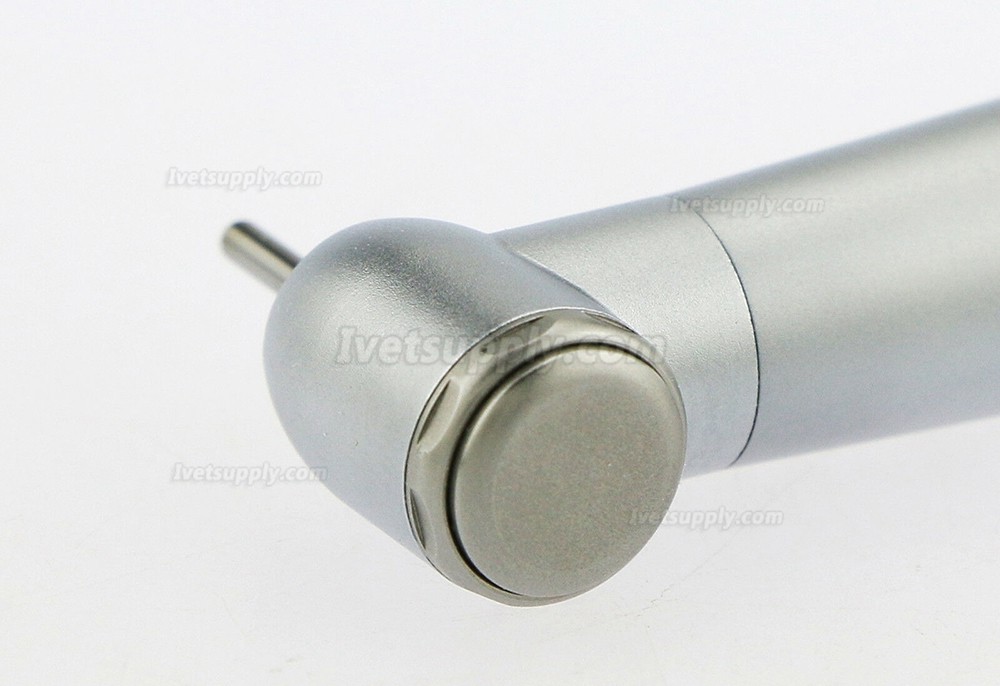 Veterinary Dental LED Turbine Handpiece Pana-Max 2/4 Holes Veterinary Dental LED Turbine Handpiece Pana-Max 2/4 Holes
