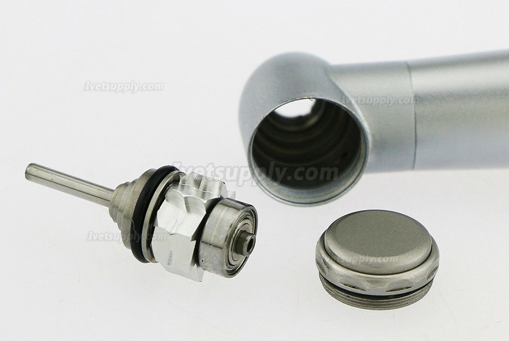 Veterinary Dental LED Turbine Handpiece Pana-Max 2/4 Holes Veterinary Dental LED Turbine Handpiece Pana-Max 2/4 Holes