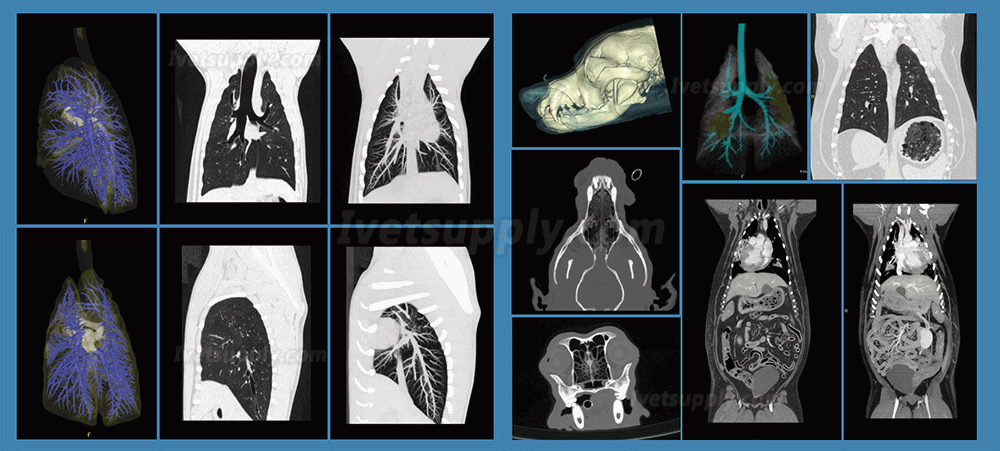 Animal Pet CT Veterinary Equipment Veterinary CT System WCT-1