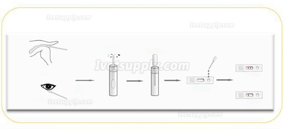 YUEXIANG Pet Quick Test Strip CDV CCV CPV FPV Test  for Dog and Cat