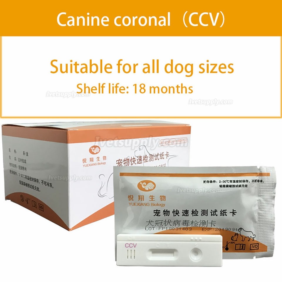 YUEXIANG Pet Quick Test Strip CDV CCV CPV FPV Test  for Dog and Cat