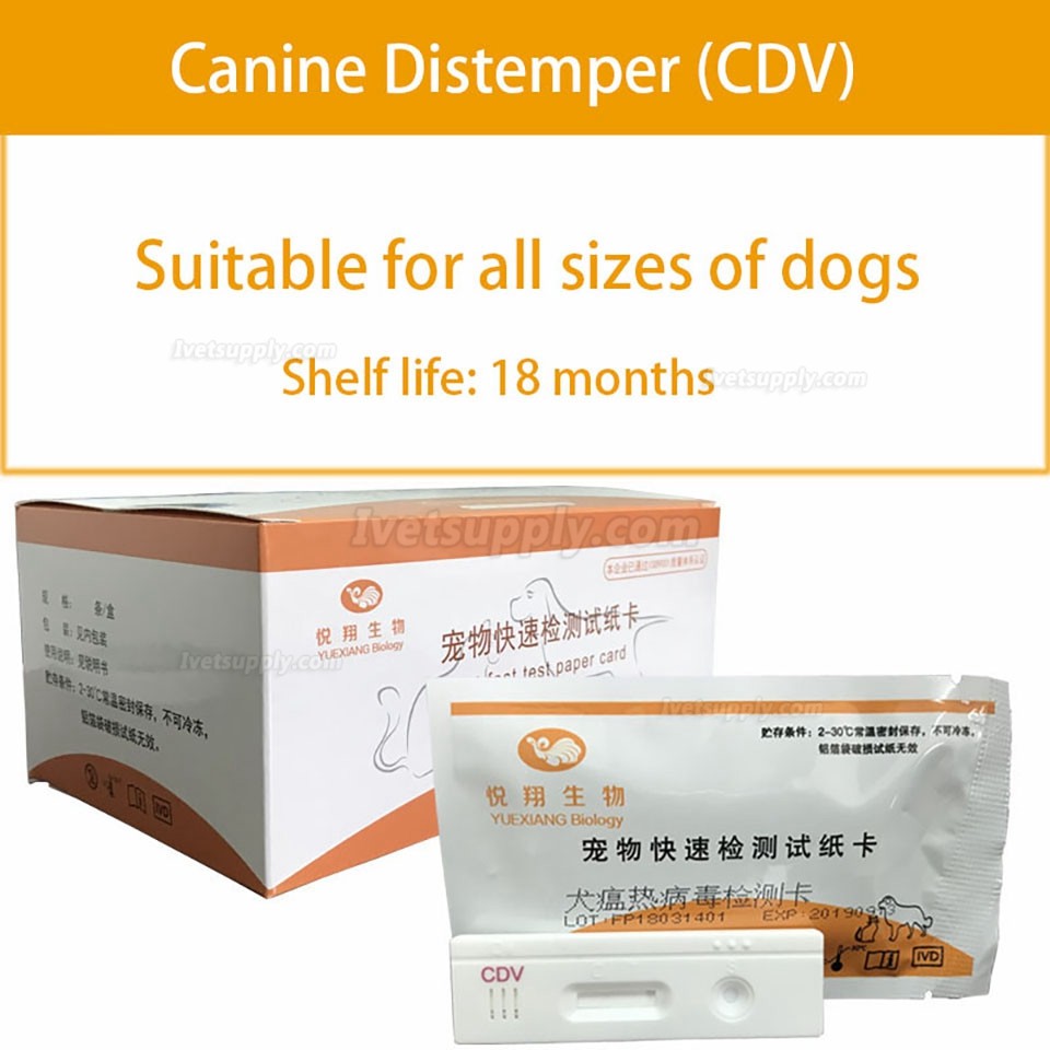 YUEXIANG Pet Quick Test Strip CDV CCV CPV FPV Test  for Dog and Cat