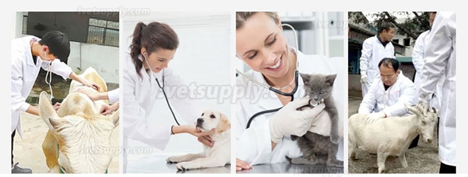 2pcs Veterinary Stethoscope Double Head Tube Vet Animal Stethoscope