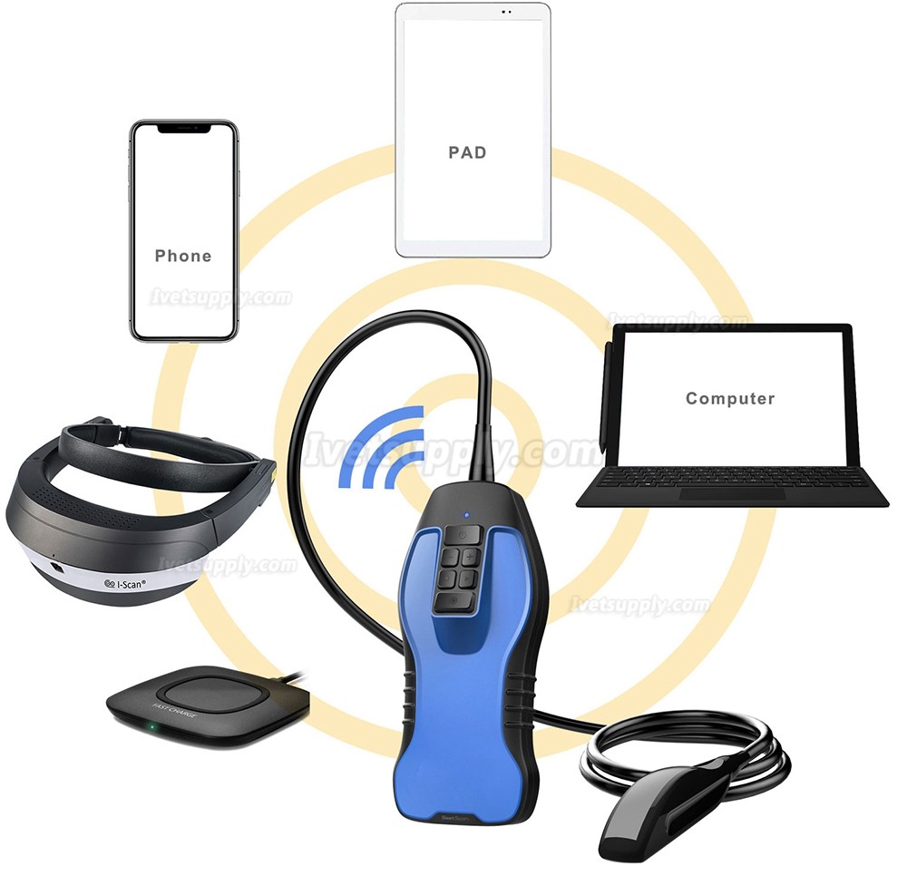 S9 Wireless Veterinary Ultrasound Scanner For Bovine Equine Ovine