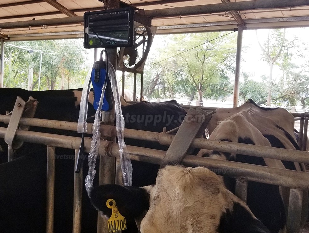 S9 Wireless Veterinary Ultrasound Scanner For Bovine Equine Ovine
