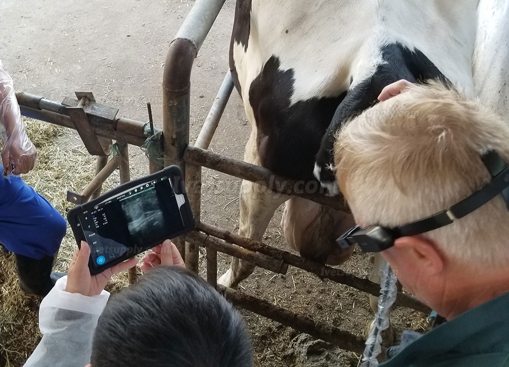 S9 Wireless Veterinary Ultrasound Scanner For Bovine Equine Ovine
