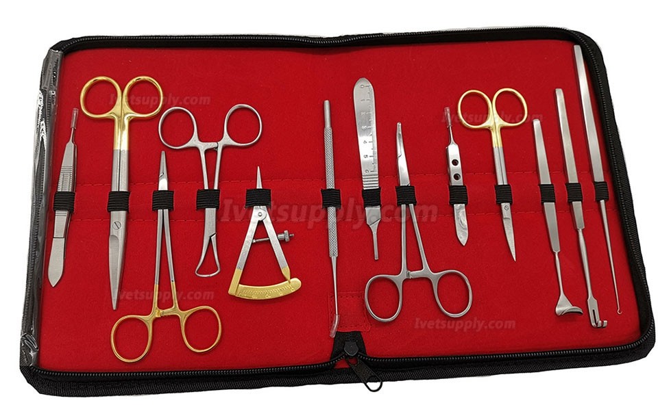 13Pcs Veterinary Ophthalmic Instruments Ophthalmic Surgery Dissection Tools