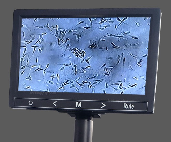 Veterinary Semen Analyzer Microscope Dog Cattle Pig Sperm Analyzer Veterinary Semen Analyzer Microscope Dog Cattle Pig Sperm Analyzer