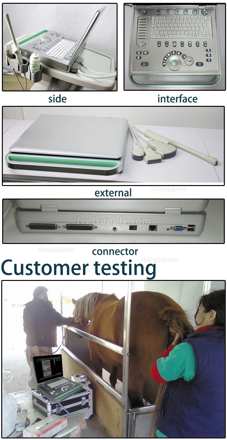 Sonostar V-9 Portable Vet Ultrasound Scanner Veterinary Ultrasound Machine with Micro Convex Probe