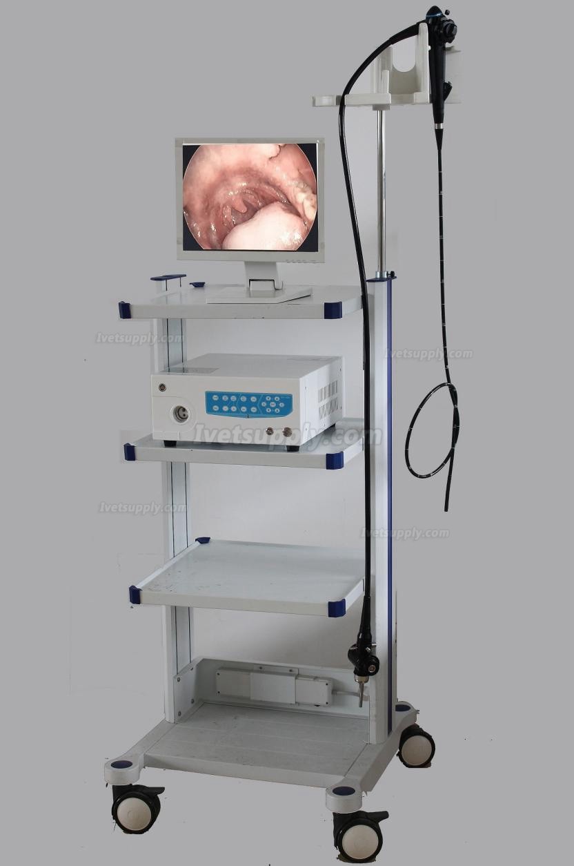 Veterinary Animal Endoscope Video System VET-600