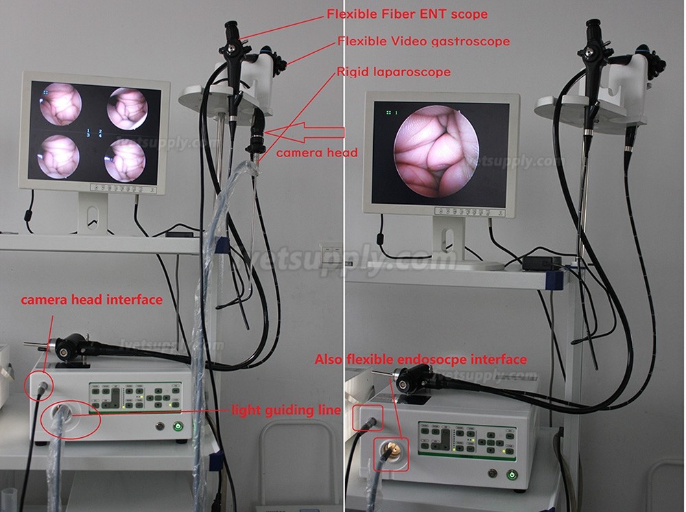 Veterinary Animal Endoscope Video System VET-900A