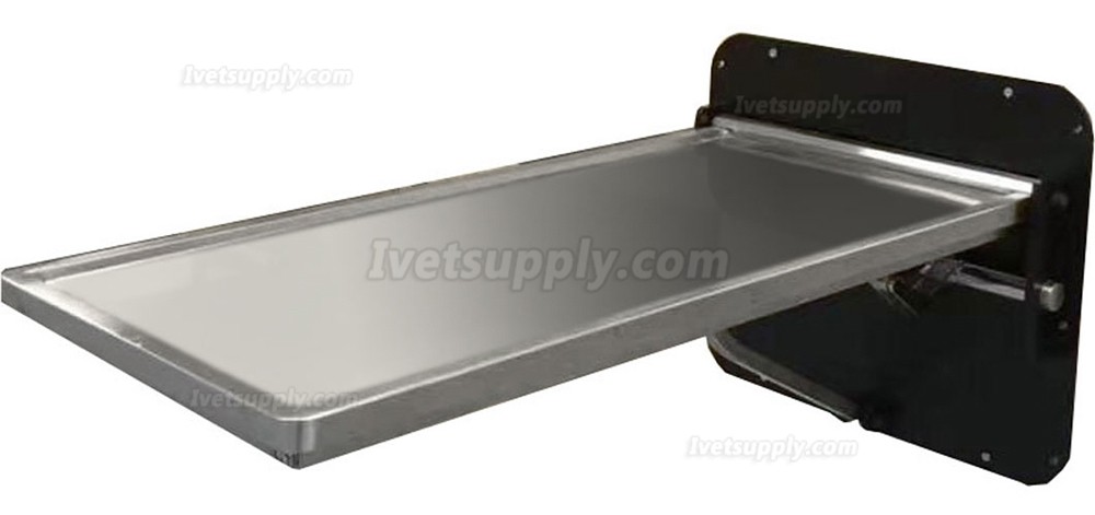 Hospital Clinic Wall-mounted Foldable Treatment Table Vet fold table Hospital Clinic Wall-mounted Foldable Treatment Table Vet fold table