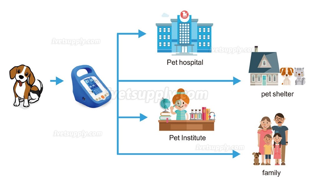 Portable Veterinary Blood Pressure Monitor Vetp-300