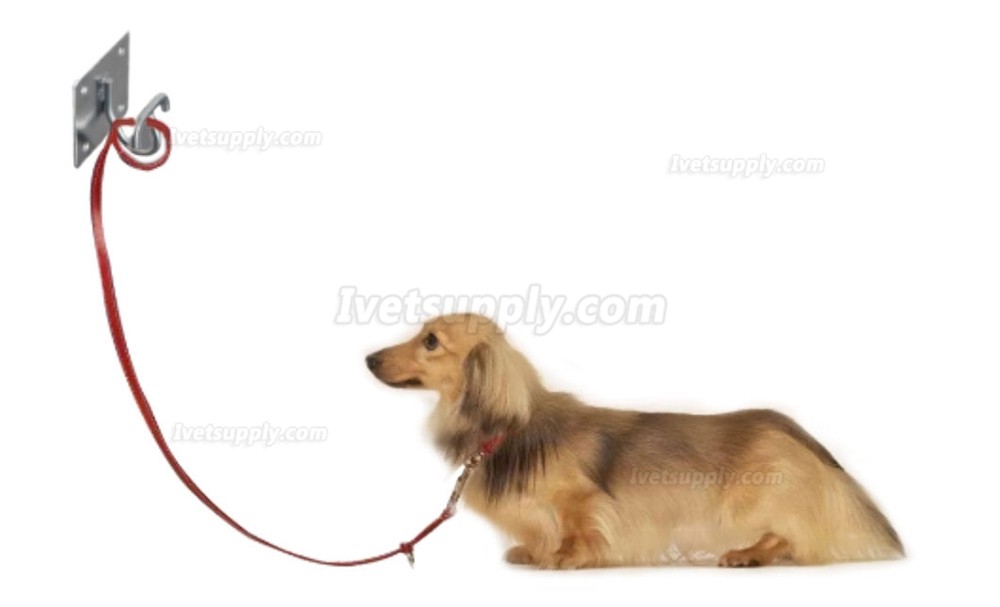 Stainless Steel Dog Leash Holder Pet Holder Dog Holder