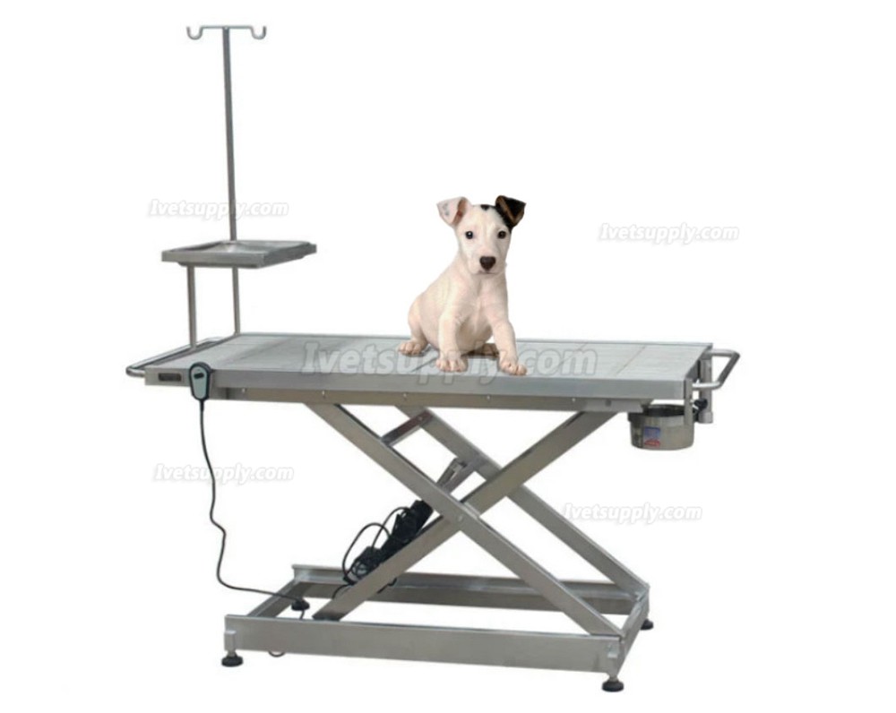 Veterinary Operating Surgical Table Stainless Steel Examination Tble WT-01 with Electric Lifting