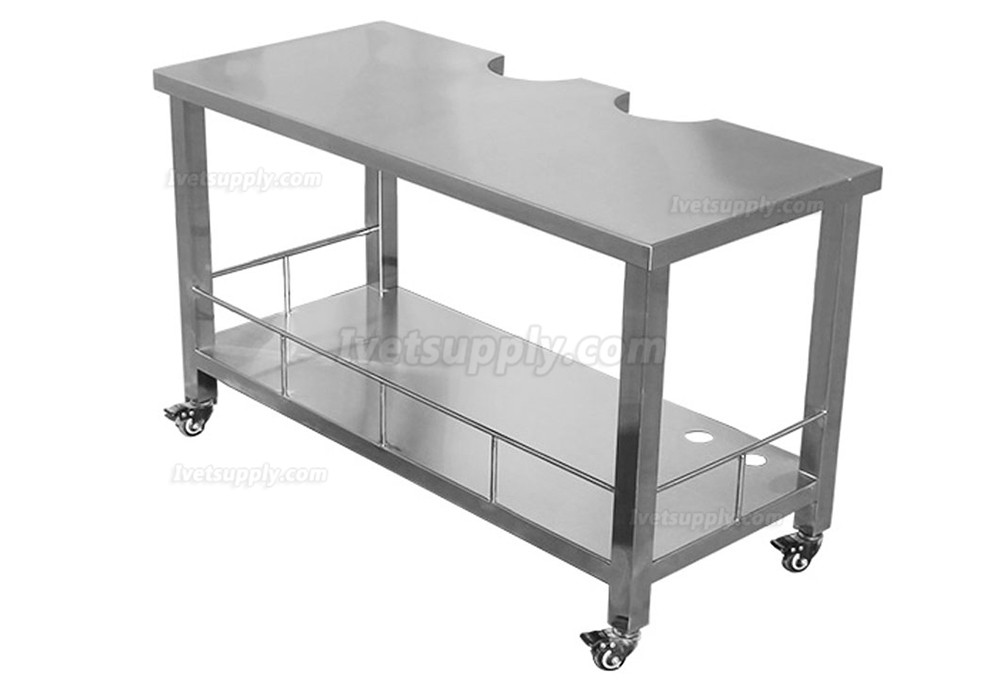 Veterinary Examination Table WT-19 Stainless Steel Vet Animal Pet Ultrasound Table