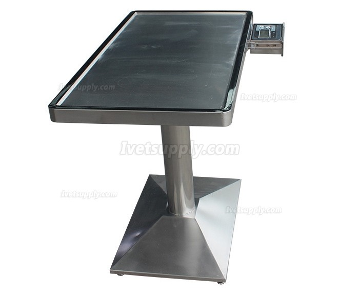 Veterinary Examination Table Pet Treatment Table WT-23 With Weighing Scale (Stainless Steel Material)