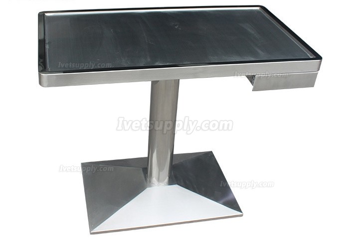 Veterinary Examination Table Pet Treatment Table WT-23 With Weighing Scale (Stainless Steel Material)