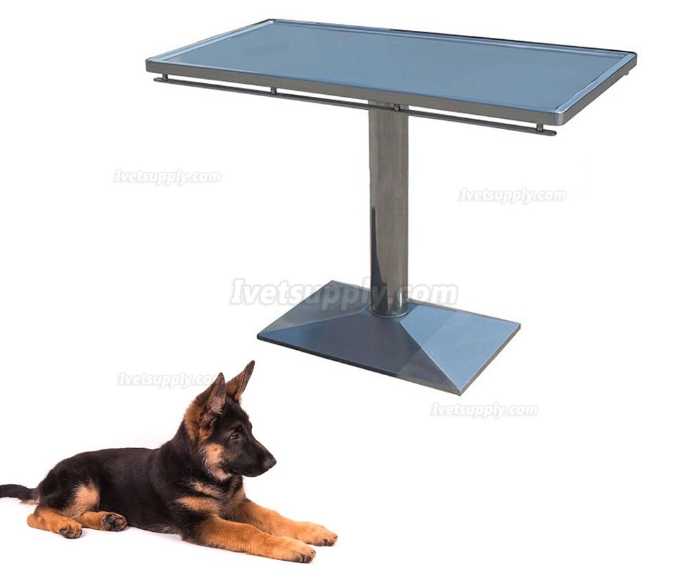 Veterinary Examination Table Pet Treatment Table WT-24 (Stainless Steel Material)