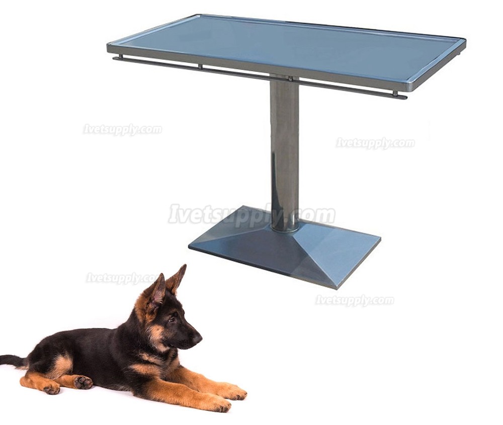 Veterinary Examination Table Pet Treatment Table WT-24 (Stainless Steel Material) Veterinary Examination Table Pet Treatment Table WT-24 (Stainless Steel Material)